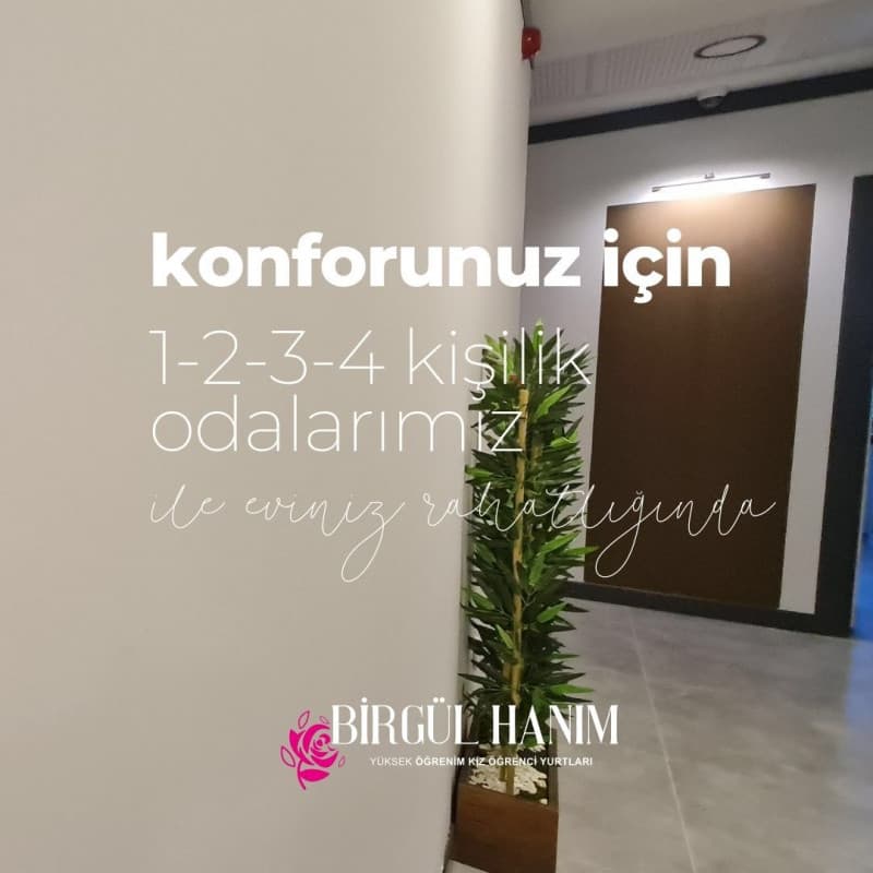 Küçük resim 7
