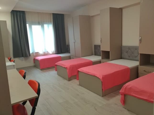 Küçük resim 13
