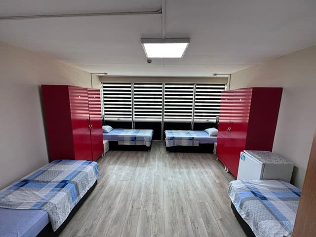 Küçük resim 7