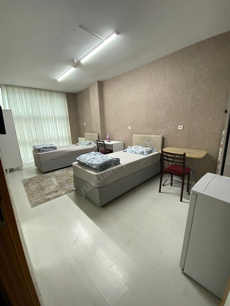 Küçük resim 7