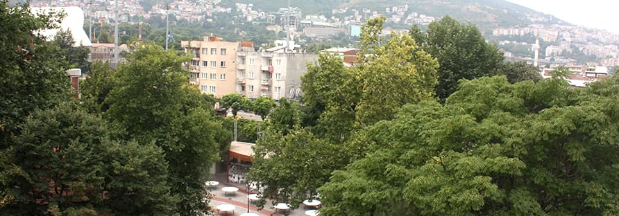 Küçük resim 2