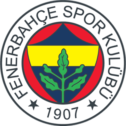 Fenerbahçe Üniversitesi
