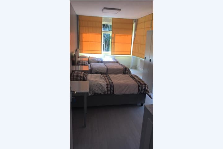 Küçük resim 5