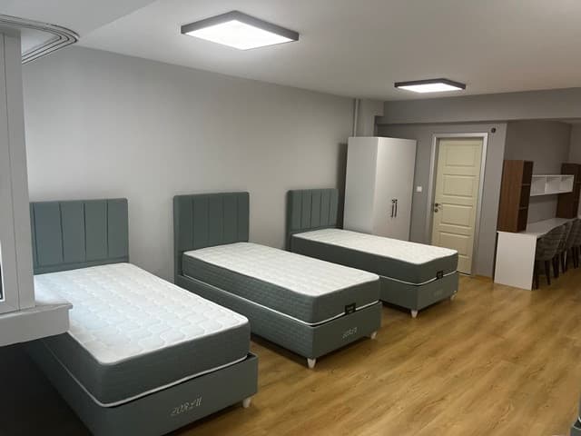 Küçük resim 5