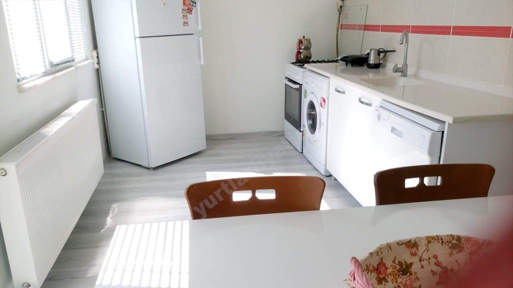 Küçük resim 11